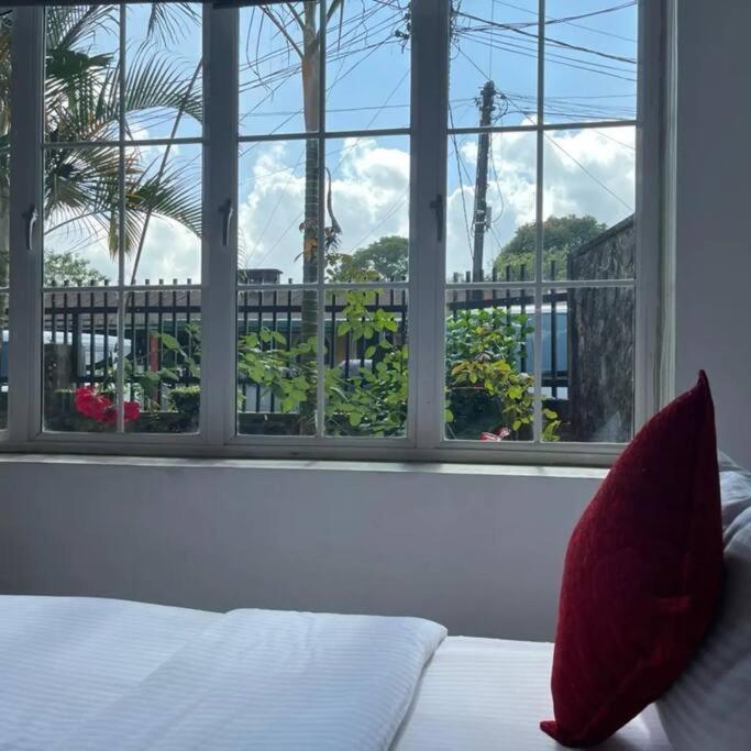Tailors Cottage Хаттон Экстерьер фото